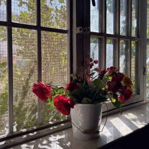 دانلود اهنگ نیواد آهای نیلوفر من تو مشکی مو فر من